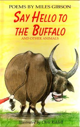 buffalo