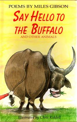 buffalo